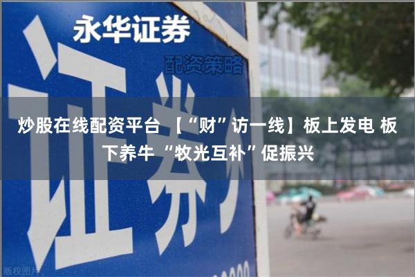 炒股在线配资平台 【“财”访一线】板上发电 板下养牛 “牧光互补”促振兴