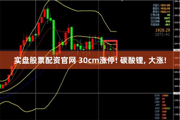 实盘股票配资官网 30cm涨停! 碳酸锂, 大涨!