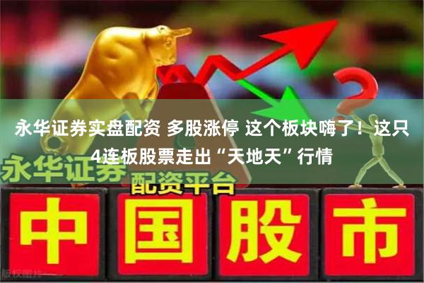 永华证券实盘配资 多股涨停 这个板块嗨了！这只4连板股票走出“天地天”行情